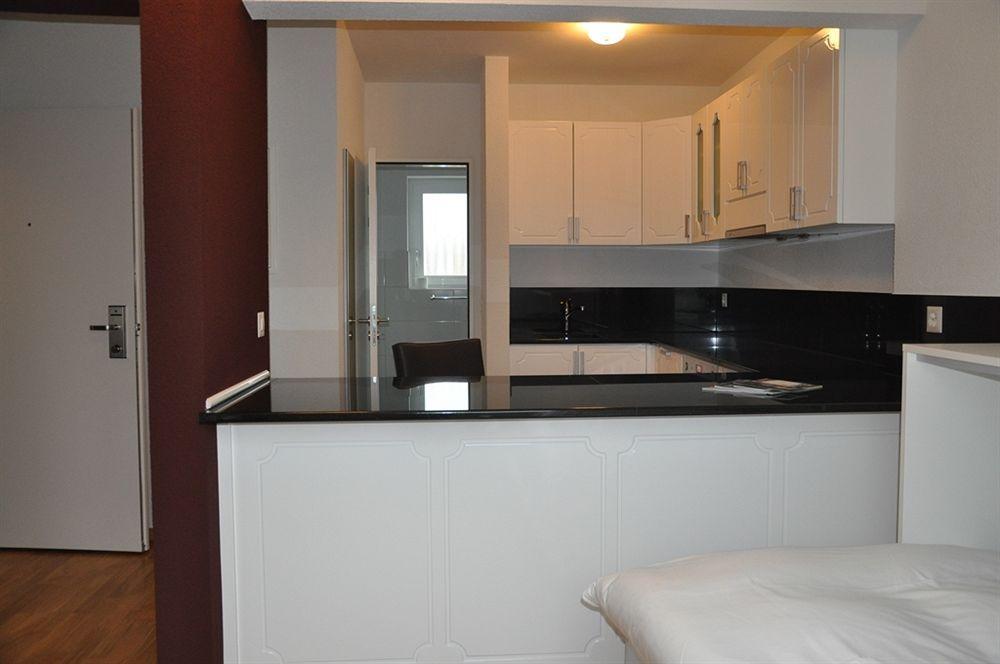 Residence Apartments By Hotel Du Commerce Basel Dış mekan fotoğraf